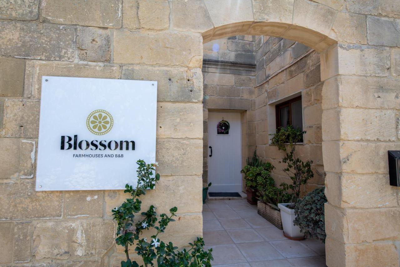 Villa Blossom *